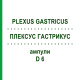 ПЛЕКСУС ГАСТРИКУС (PLEXUS GASTRICUS) D 6 ампулы 10x1 мл - Гомеопатия WALA HEILMITTEL