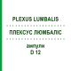 ПЛЕКСУС ЛЮМБАЛИС (PLEXUS LUMBALIS) D 12 ампулы 10x1 мл - Гомеопатия WALA HEILMITTEL