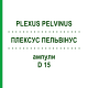 ПЛЕКСУС ПЕЛЬВІНУС (PLEXUS PELVINUS) D 15 ампули 10x1 мл - Гомеопатія WALA HEILMITTEL