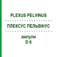 ПЛЕКСУС ПЕЛЬВІНУС (PLEXUS PELVINUS) D 6 ампули 10x1 мл - Гомеопатія WALA HEILMITTEL