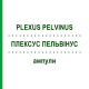 ПЛЕКСУС ПЕЛЬВІНУС (PLEXUS PELVINUS) ампули 10x1 мл - Гомеопатія WALA HEILMITTEL