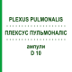 ПЛЕКСУС ПУЛЬМОНАЛИС (PLEXUS PULMONALIS) D 10 ампулы 10x1 мл - Гомеопатия WALA HEILMITTEL