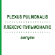 ПЛЕКСУС ПУЛЬМОНАЛИС (PLEXUS PULMONALIS) ампулы 10x1 мл - Гомеопатия WALA HEILMITTEL