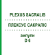 ПЛЕКСУС САКРАЛИС (PLEXUS SACRALIS) D 6 ампулы 10x1 мл - Гомеопатия WALA HEILMITTEL