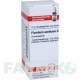 ПЛЮМБУМ АЦЕТИКУМ (PLUMBUM ACETICUM) D 6 глобули 10 г - Гомеопатія DHU