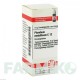 ПЛЮМБУМ МЕТАЛІКУМ (PLUMBUM METALLICUM) C 12 глобули 10 г - Гомеопатія DHU