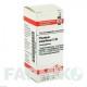 ПЛЮМБУМ МЕТАЛІКУМ (PLUMBUM METALLICUM) C 30 глобули 10 г - Гомеопатія DHU