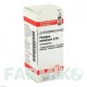 ПЛЮМБУМ МЕТАЛІКУМ (PLUMBUM METALLICUM) D 30 глобули 10 г - Гомеопатія DHU