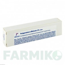 ПОЛИГОНАТУМ ОФФИЦИНАЛЕ (POLYGONATUM OFFICINALE) 5% мазь 25 г - Гомеопатия WELEDA