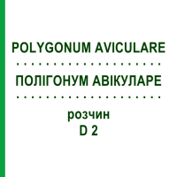 ПОЛІГОНУМ АВІКУЛАРЕ (POLYGONUM AVICULARE) D 2 розчин 20 мл - Гомеопатія DHU