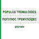 ПОПУЛЮС ТРЕМУЛОИДЕС (POPULUS TREMULOIDES) раствор 50 мл - Гомеопатия DHU