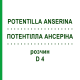 ПОТЕНТИЛЛА АНСЕРИНА (POTENTILLA ANSERINA) D 4 раствор 20 мл - Гомеопатия DHU