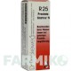 ПРОСТАТА ГАСТРЕУ (PROSTATA GASTREU) смесь 22 мл - Гомеопатия DR.RECKEWEG