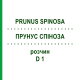 ПРУНУС СПІНОЗА (PRUNUS SPINOSA) D 1 розчин 20 мл - Гомеопатія DHU