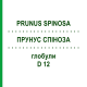 ПРУНУС СПІНОЗА (PRUNUS SPINOSA) D 12 глобули 10 г - Гомеопатія DHU