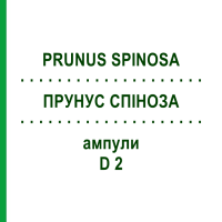 ПРУНУС СПІНОЗА (PRUNUS SPINOSA) D 2 ампули 10x1 мл - Гомеопатія WALA HEILMITTEL