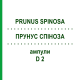 ПРУНУС СПИНОЗА (PRUNUS SPINOSA) D 2 ампулы 10x1 мл - Гомеопатия WALA HEILMITTEL