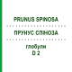 ПРУНУС СПИНОЗА (PRUNUS SPINOSA) D 2 глобули 20 г - Гомеопатия WALA HEILMITTEL