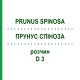 ПРУНУС СПІНОЗА (PRUNUS SPINOSA) D 3 розчин 20 мл - Гомеопатія DHU
