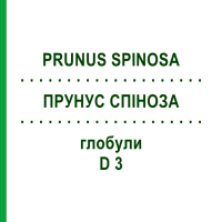 ПРУНУС СПІНОЗА (PRUNUS SPINOSA) D 3 глобули 20 г - Гомеопатія WALA HEILMITTEL