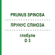 ПРУНУС СПИНОЗА (PRUNUS SPINOSA) D 3 глобули 20 г - Гомеопатия WALA HEILMITTEL