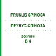 ПРУНУС СПІНОЗА (PRUNUS SPINOSA) D 4 розчин 20 мл - Гомеопатія DHU