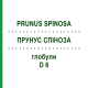 ПРУНУС СПИНОЗА (PRUNUS SPINOSA) D 6 глобули 20 г - Гомеопатия WALA HEILMITTEL