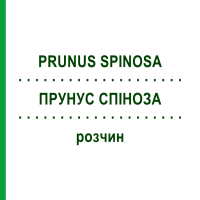 ПРУНУС СПІНОЗА (PRUNUS SPINOSA) розчин 20 мл - Гомеопатія DHU