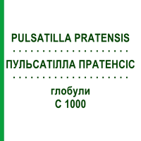 ПУЛЬСАТИЛЛА ПРАТЕНСИС (PULSATILLA PRATENSIS) C 1000 глобули 0,5 г - Гомеопатия GUDJONS