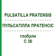 ПУЛЬСАТИЛЛА ПРАТЕНСИС (PULSATILLA PRATENSIS) C 30 глобули 1,5 г - Гомеопатия GUDJONS