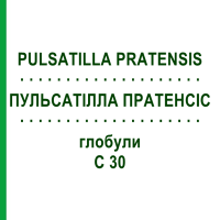ПУЛЬСАТИЛЛА ПРАТЕНСИС (PULSATILLA PRATENSIS) C 30 глобули 10 г - Гомеопатия SPAGYRA