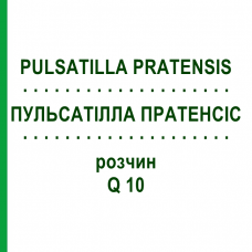ПУЛЬСАТІЛЛА ПРАТЕНСІС (PULSATILLA PRATENSIS) Q 10 розчин 15 мл - Гомеопатія GUDJONS