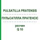 ПУЛЬСАТИЛЛА ПРАТЕНСИС (PULSATILLA PRATENSIS) Q 10 раствор 15 мл - Гомеопатия GUDJONS