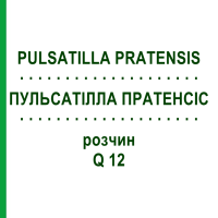 ПУЛЬСАТІЛЛА ПРАТЕНСІС (PULSATILLA PRATENSIS) Q 12 розчин 15 мл - Гомеопатія GUDJONS