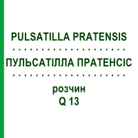 ПУЛЬСАТІЛЛА ПРАТЕНСІС (PULSATILLA PRATENSIS) Q 13 розчин 15 мл - Гомеопатія GUDJONS
