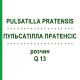 ПУЛЬСАТИЛЛА ПРАТЕНСИС (PULSATILLA PRATENSIS) Q 13 раствор 15 мл - Гомеопатия GUDJONS