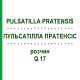 ПУЛЬСАТИЛЛА ПРАТЕНСИС (PULSATILLA PRATENSIS) Q 17 раствор 15 мл - Гомеопатия GUDJONS