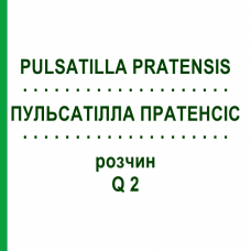 ПУЛЬСАТИЛЛА ПРАТЕНСИС (PULSATILLA PRATENSIS) Q 2 раствор 15 мл - Гомеопатия GUDJONS