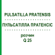 ПУЛЬСАТИЛЛА ПРАТЕНСИС (PULSATILLA PRATENSIS) Q 25 раствор 15 мл - Гомеопатия GUDJONS