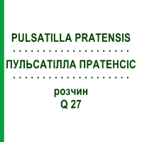 ПУЛЬСАТИЛЛА ПРАТЕНСИС (PULSATILLA PRATENSIS) Q 27 раствор 15 мл - Гомеопатия GUDJONS