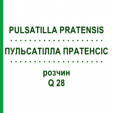 ПУЛЬСАТІЛЛА ПРАТЕНСІС (PULSATILLA PRATENSIS) Q 28 розчин 15 мл - Гомеопатія GUDJONS