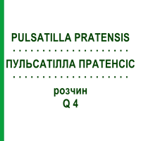 ПУЛЬСАТІЛЛА ПРАТЕНСІС (PULSATILLA PRATENSIS) Q 4 розчин 15 мл - Гомеопатія GUDJONS