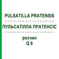 ПУЛЬСАТИЛЛА ПРАТЕНСИС (PULSATILLA PRATENSIS) Q 6 раствор 15 мл - Гомеопатия GUDJONS