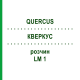 КВЕРКУС (QUERCUS) LM 1 розчин 10 мл - Гомеопатія ARCANA DR.SEWERIN