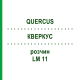 КВЕРКУС (QUERCUS) LM 11 розчин 10 мл - Гомеопатія ARCANA DR.SEWERIN