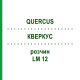 КВЕРКУС (QUERCUS) LM 12 розчин 10 мл - Гомеопатія ARCANA DR.SEWERIN