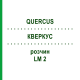 КВЕРКУС (QUERCUS) LM 2 розчин 10 мл - Гомеопатія ARCANA DR.SEWERIN
