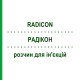 РАДИКОН (RADICON) раствор для инъекций 50x2 мл - Гомеопатия HANOSAN