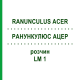 РАНУНКУЛЮС АЦЕР (RANUNCULUS ACER) LM 1 розчин 10 мл - Гомеопатія ARCANA DR.SEWERIN