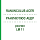 РАНУНКУЛЮС АЦЕР (RANUNCULUS ACER) LM 11 розчин 10 мл - Гомеопатія ARCANA DR.SEWERIN